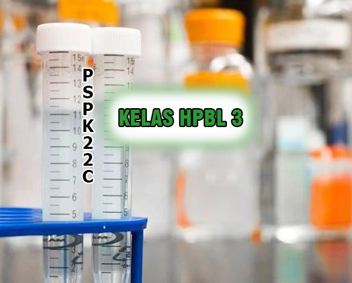 KELAS HPBL 3